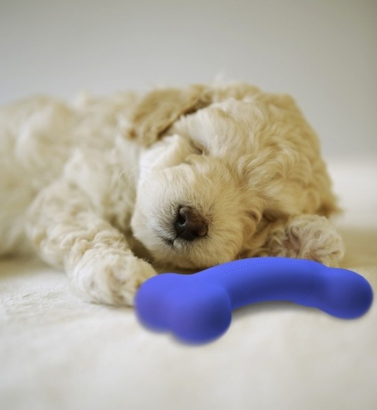 withme bone 550x597 The WithMe Bone sooths a distraught pooch by smelling and sounding like the owner