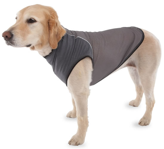 Insect Repelling Canine Vest keeps the Pooch Protected canine vest 1 Insect Repelling Canine Vest keeps the Pooch Protected