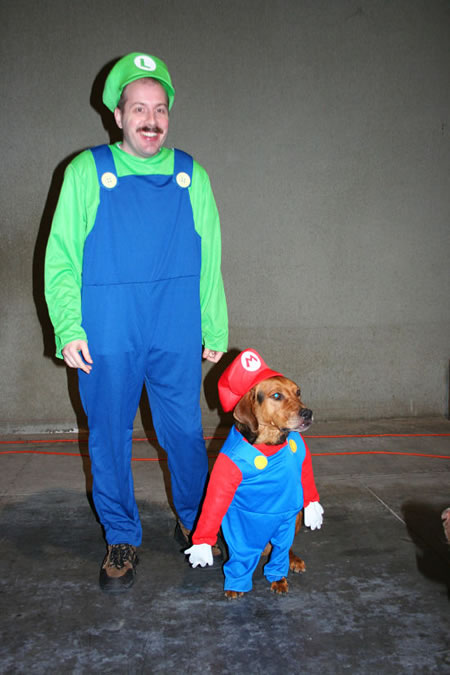 Pet dog dressed as Mario for Halloween Super Mario Dog Pet dog dressed as Mario for Halloween
