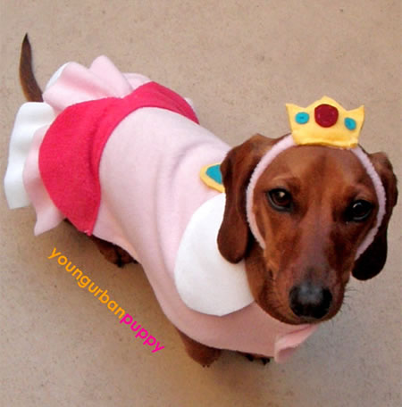 princess_peach_dog_costume.jpg